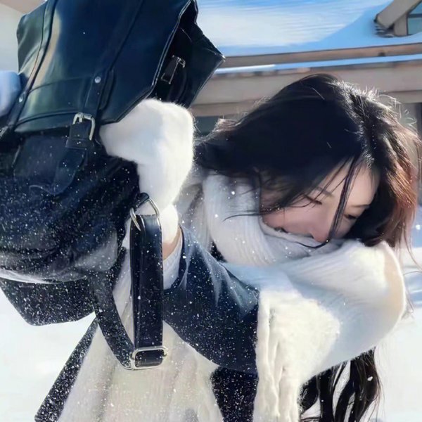 消失的收藏家